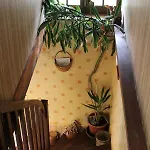 Chez Jeannette * Marcillac-Saint-Quentin