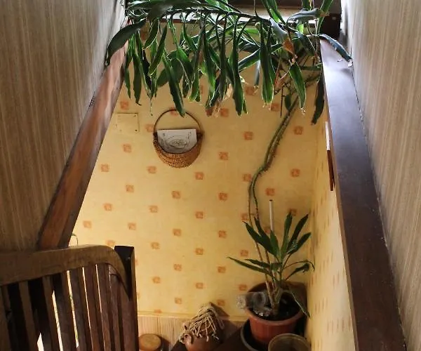 Chez Jeannette * Marcillac-Saint-Quentin